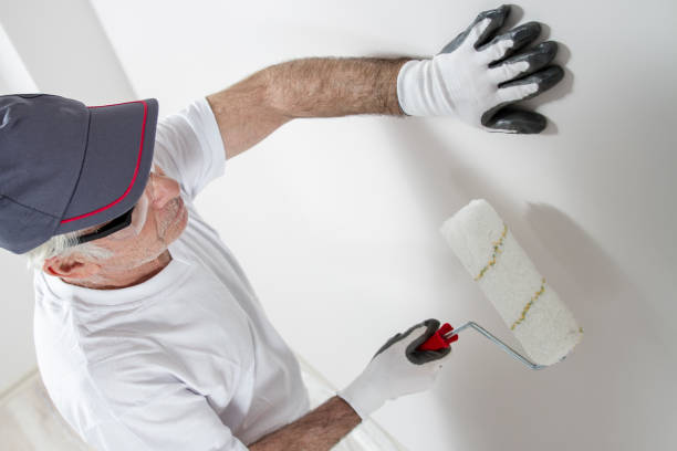 Best Environmental Consulting for Mold Prevention  in Aldan, PA