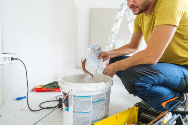 Trusted Aldan, PA Mold Removal Experts